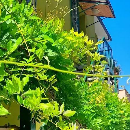 Il Corniolo * تاركوينيا